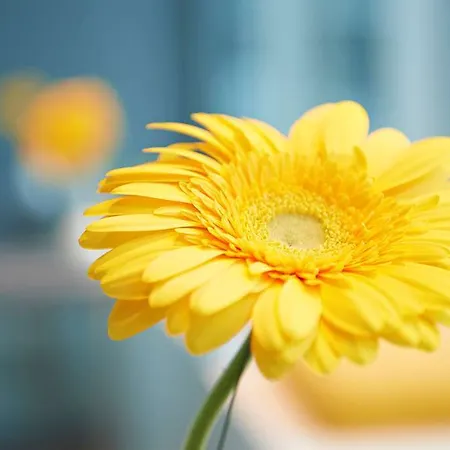 Hotel Four Points Flex By Sheraton 3*