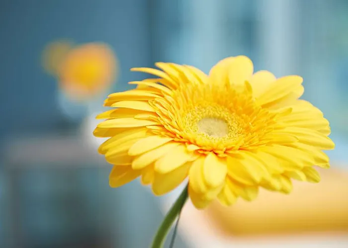 Отель Four Points Flex By Sheraton 3*